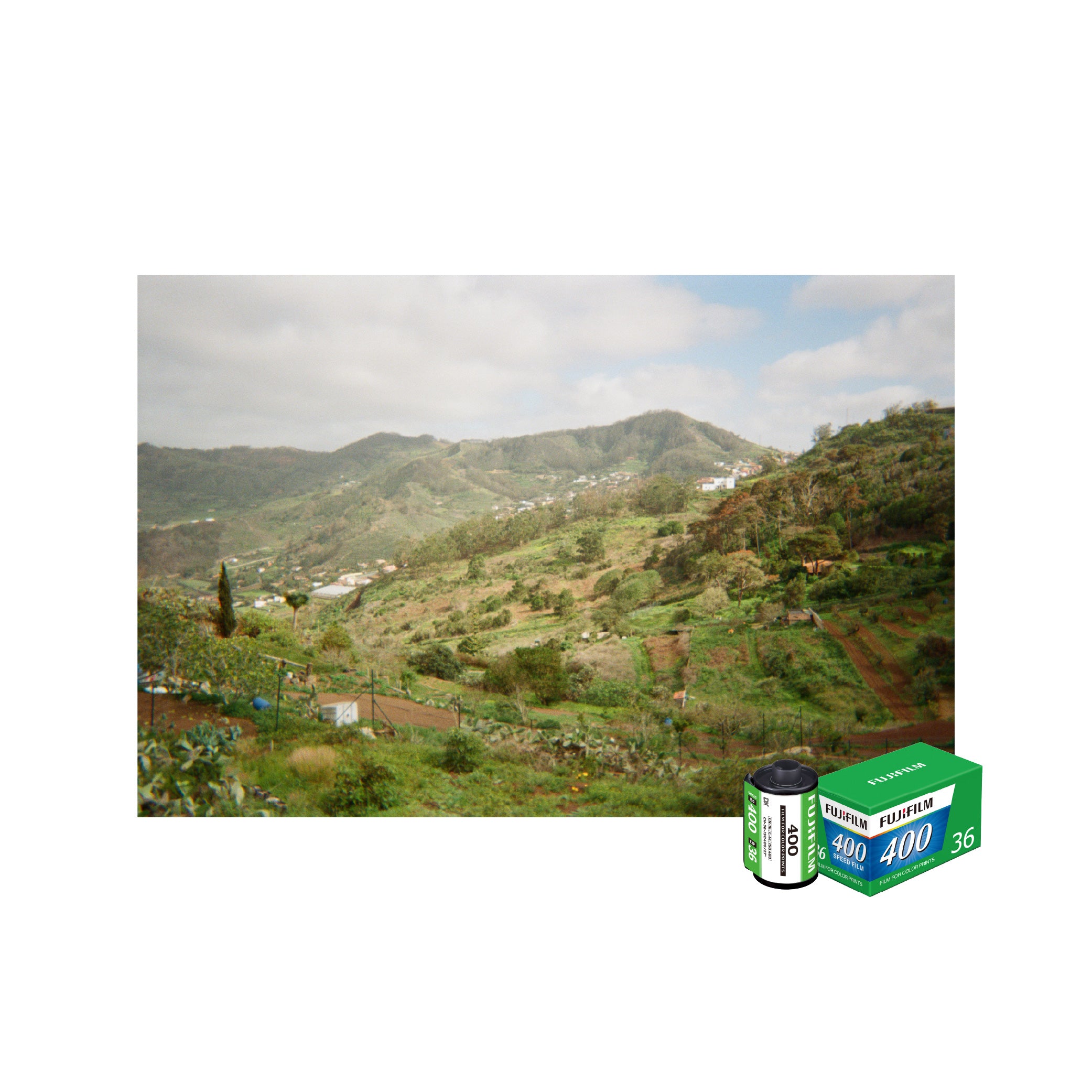 Negative Film ISO 200/ ISO 400