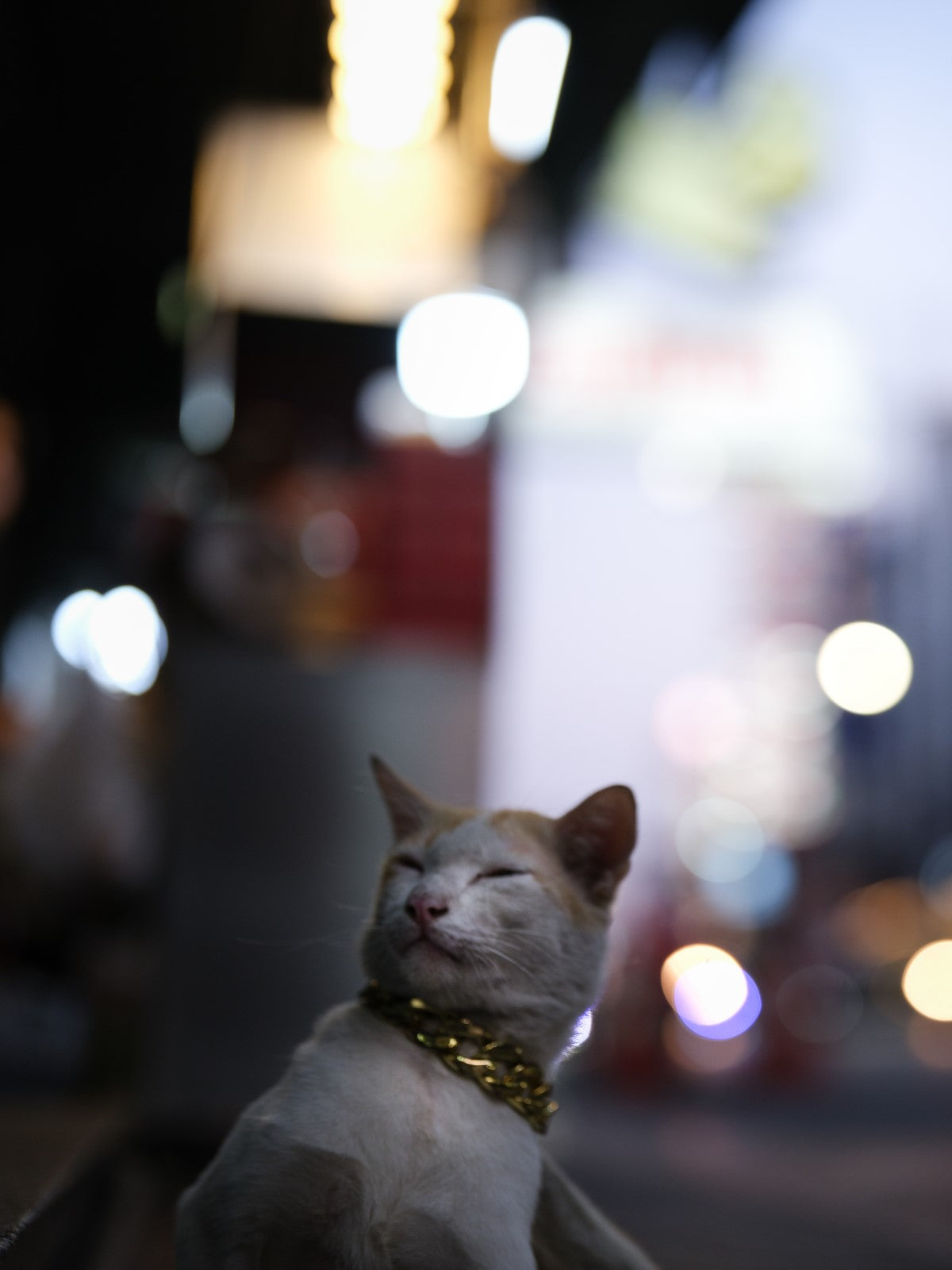 Photo shot by Angkul Sungthong using GF25mmF1.7 R WR