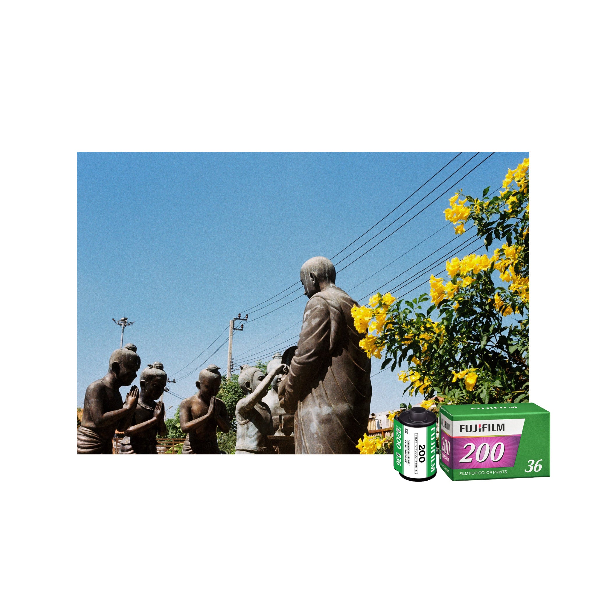 Negative Film ISO 200/ ISO 400