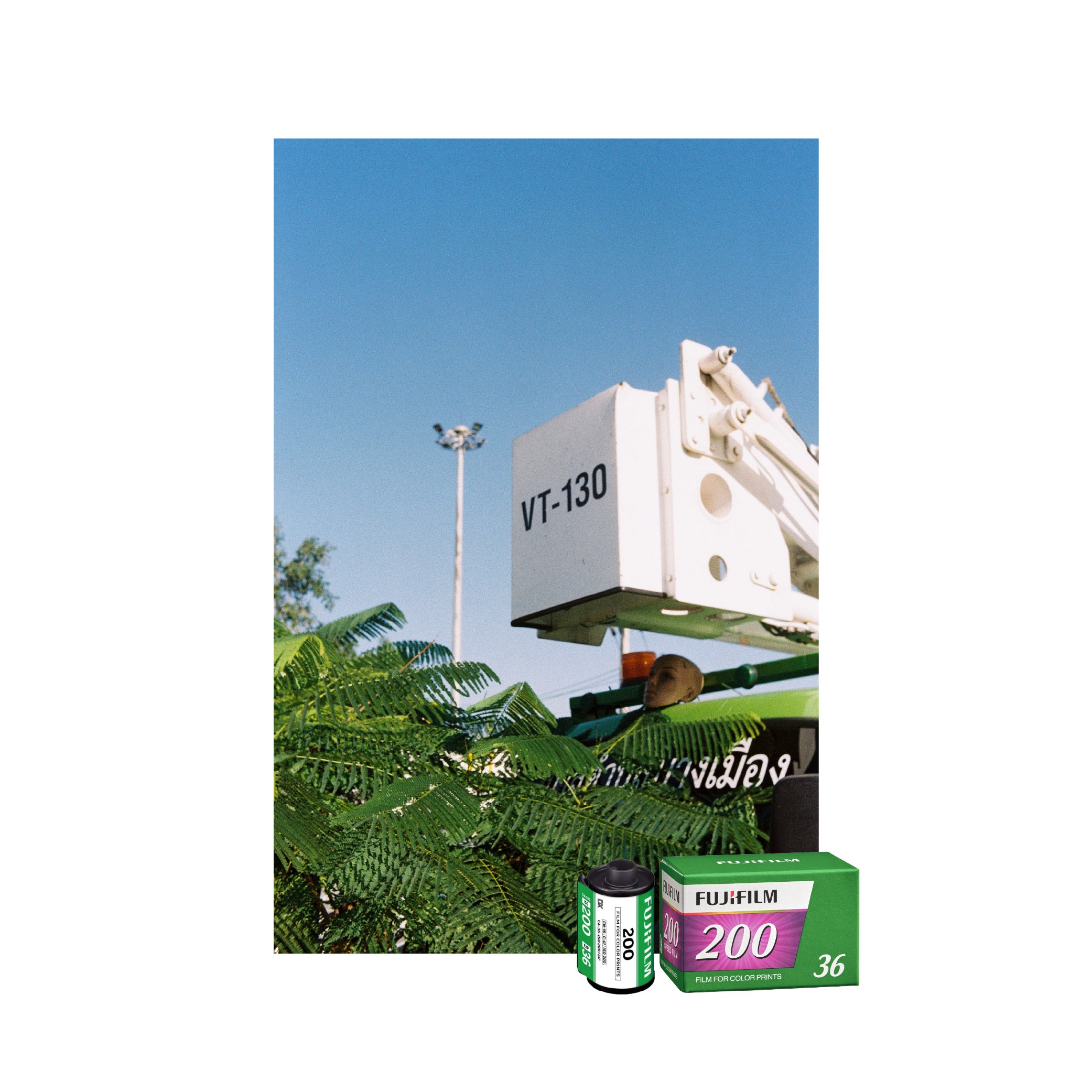 Negative Film ISO 200/ ISO 400