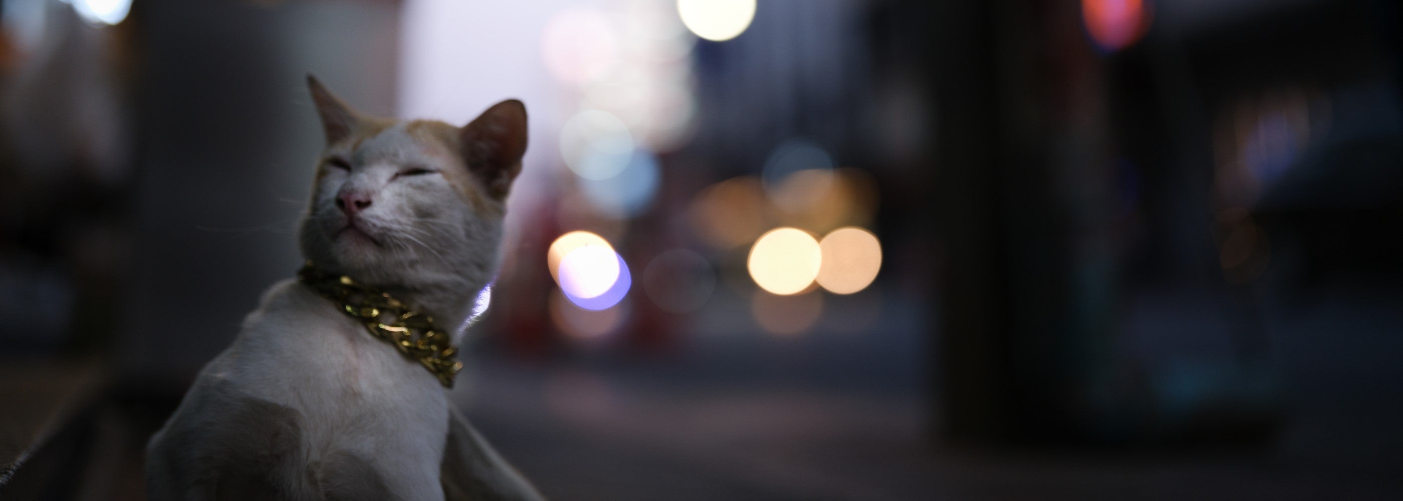 Photo shot by Angkul Sungthong using GF25mmF1.7 R WR