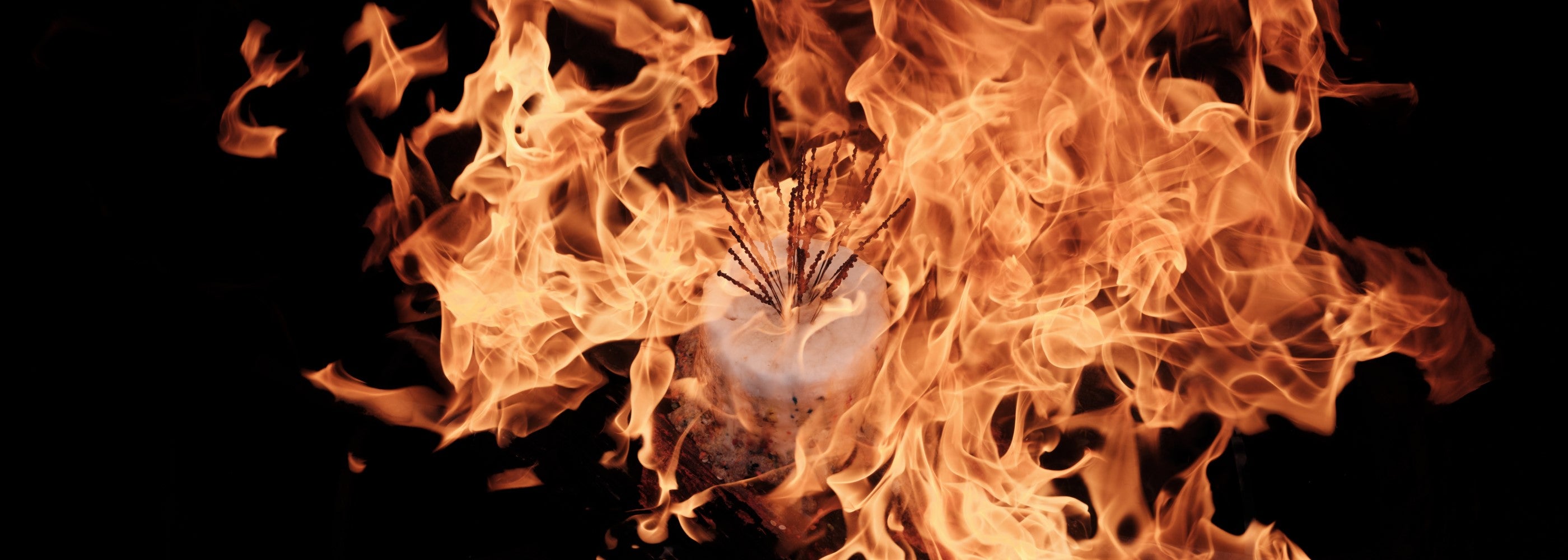 Photo shot by Cig Harvey using GFX100 II