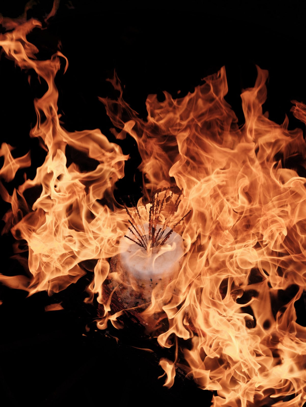 Photo shot by Cig Harvey using GFX100 ii