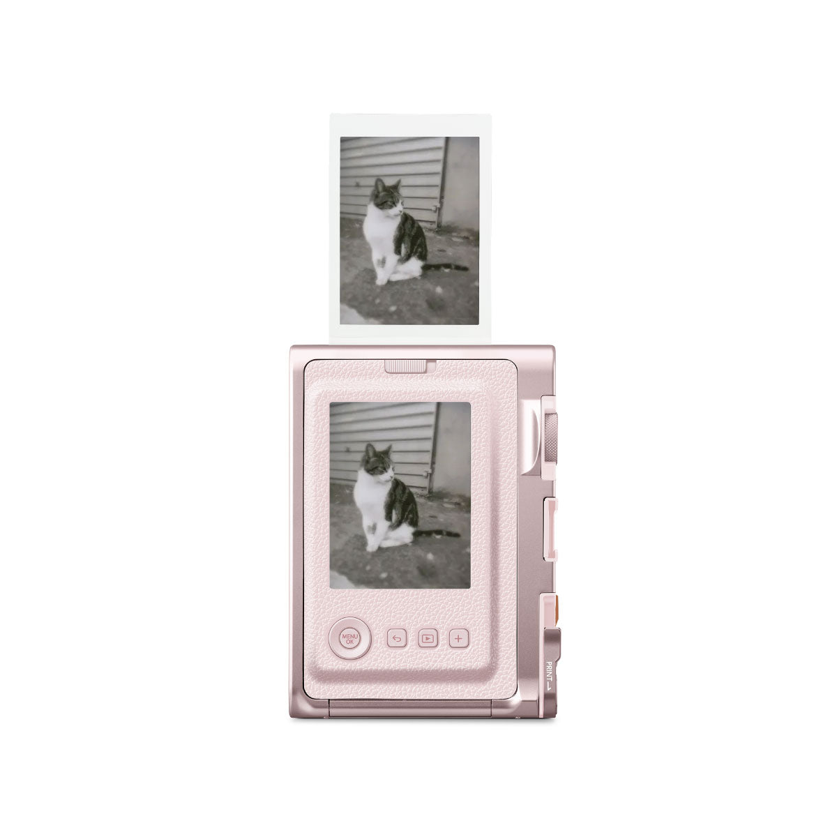 instax mini Evo Gentle Rose